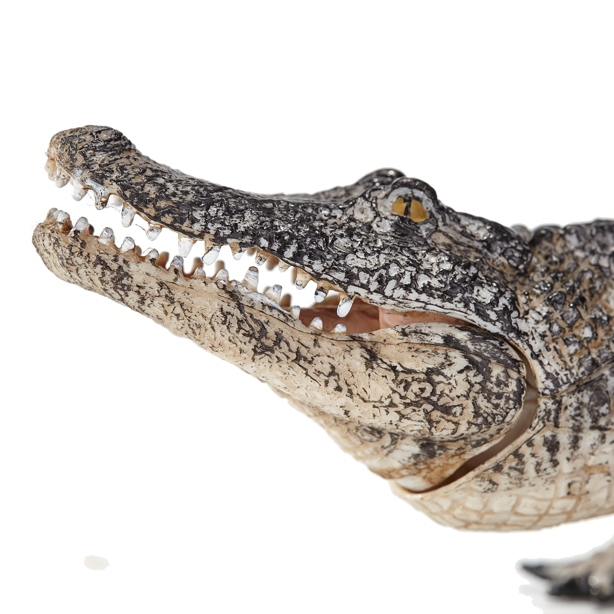 Mojo Wildlife Spielzeugtiere – detailreiche Wildtierfiguren zum Sammeln & Spielen
